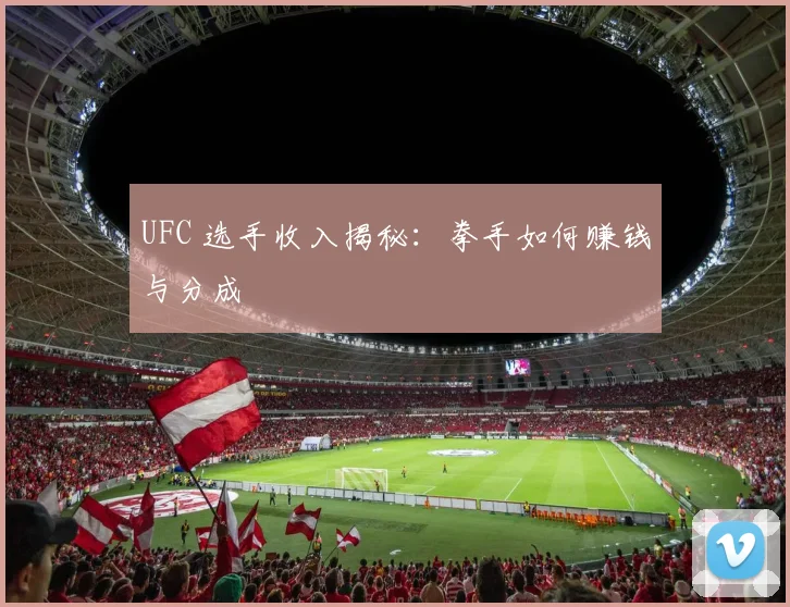 UFC 选手收入揭秘:拳手如何赚钱与分成