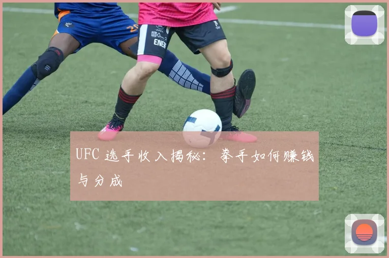UFC 选手收入揭秘:拳手如何赚钱与分成